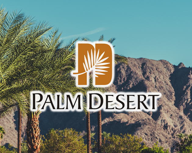 IT Services in Palm Desert
